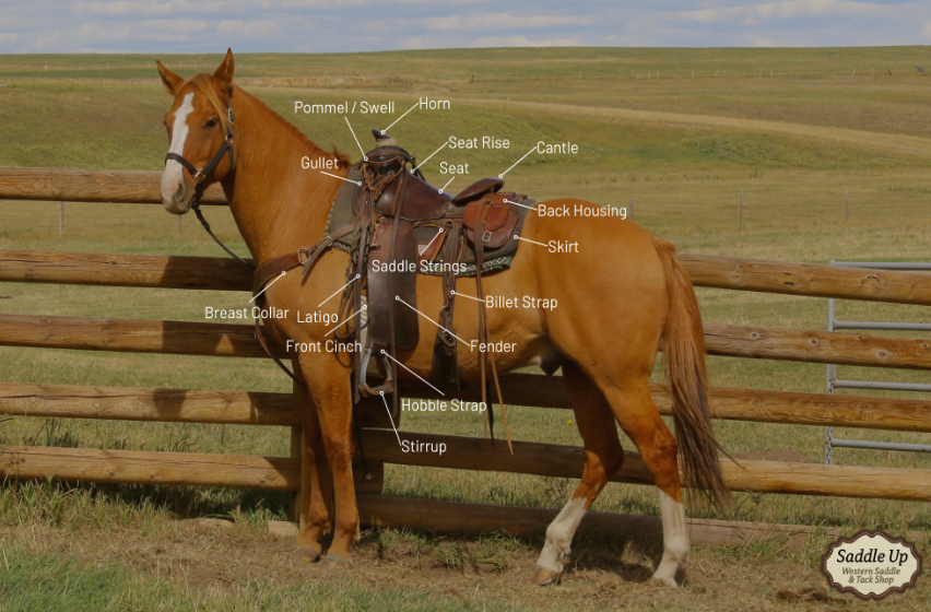 types of western saddles